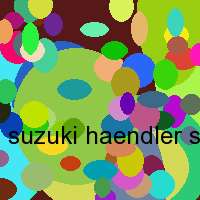 suzuki haendler shop